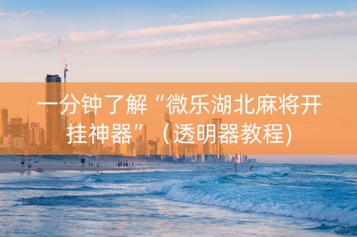 一分钟了解“微乐湖北麻将开挂神器”（透明器教程)