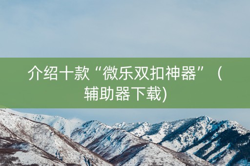 介绍十款“微乐双扣神器”（辅助器下载)
