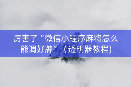 厉害了“微信小程序麻将怎么能调好牌”（透明器教程)