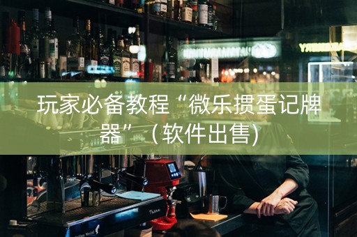 玩家必备教程“微乐掼蛋记牌器”（软件出售)