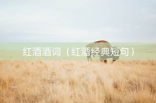 红酒酒词（红酒经典短句）