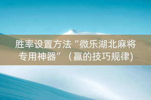 胜率设置方法“微乐湖北麻将专用神器”（赢的技巧规律)