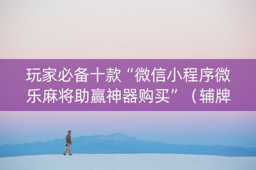 玩家必备十款“微信小程序微乐麻将助赢神器购买”（辅牌器插件购买)