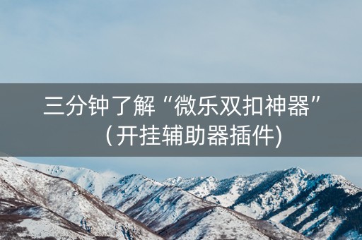 三分钟了解“微乐双扣神器”（开挂辅助器插件)
