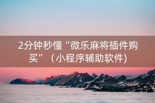 2分钟秒懂“微乐麻将插件购买”（小程序辅助软件)