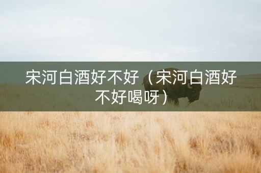 宋河白酒好不好（宋河白酒好不好喝呀）