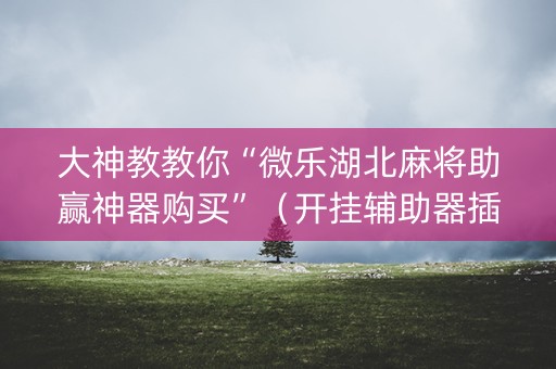 大神教教你“微乐湖北麻将助赢神器购买”（开挂辅助器插件)