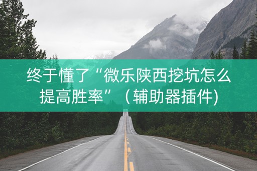 终于懂了“微乐陕西挖坑怎么提高胜率”（辅助器插件)