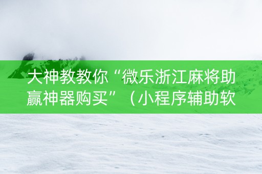 大神教教你“微乐浙江麻将助赢神器购买”（小程序辅助软件)