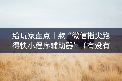 给玩家盘点十款“微信指尖跑得快小程序辅助器”（有没有猫腻)