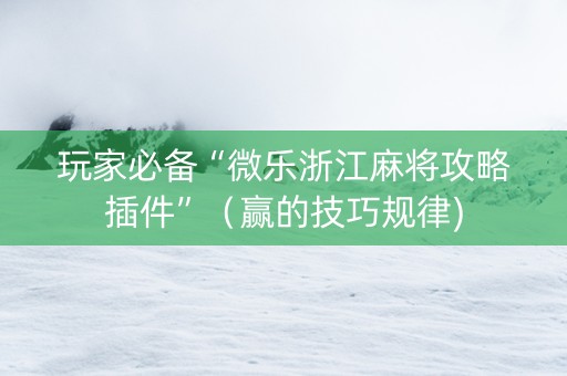 玩家必备“微乐浙江麻将攻略插件”（赢的技巧规律)