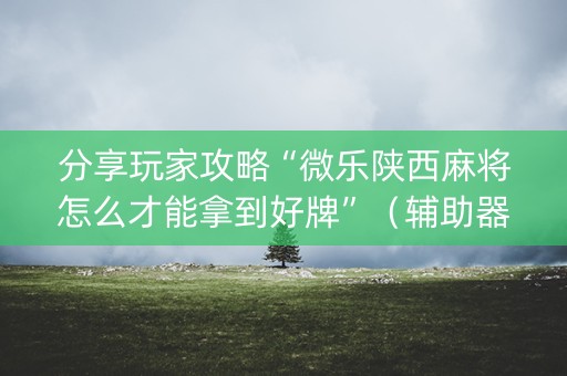 分享玩家攻略“微乐陕西麻将怎么才能拿到好牌”（辅助器通用版)