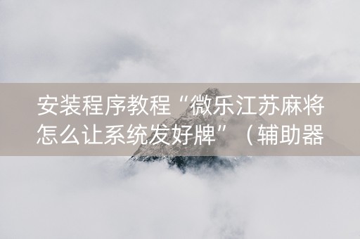 安装程序教程“微乐江苏麻将怎么让系统发好牌”（辅助器插件)