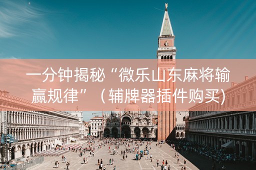 一分钟揭秘“微乐山东麻将输赢规律”（辅牌器插件购买)