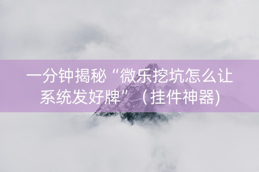 一分钟揭秘“微乐挖坑怎么让系统发好牌”（挂件神器)