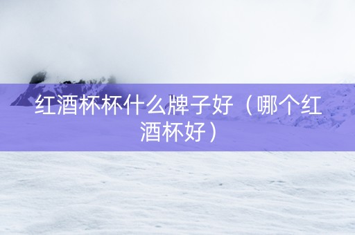红酒杯杯什么牌子好（哪个红酒杯好）