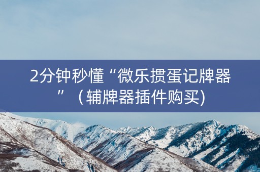 2分钟秒懂“微乐掼蛋记牌器”（辅牌器插件购买)