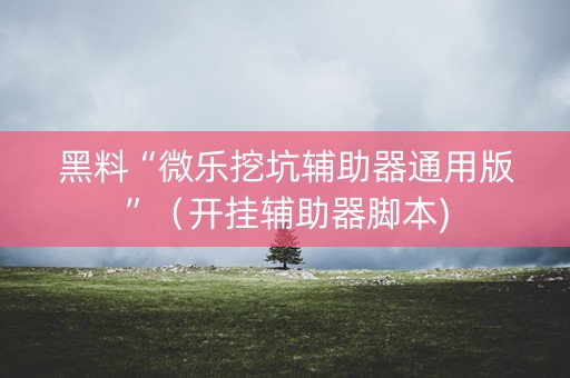 黑料“微乐挖坑辅助器通用版”（开挂辅助器脚本)