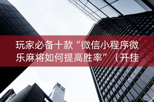 玩家必备十款“微信小程序微乐麻将如何提高胜率”（开挂辅助脚本)