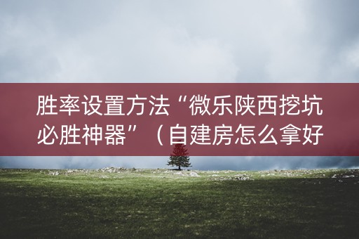 胜率设置方法“微乐陕西挖坑必胜神器”（自建房怎么拿好牌)