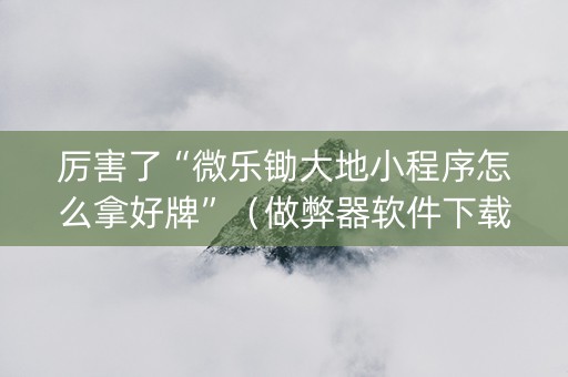 厉害了“微乐锄大地小程序怎么拿好牌”（做弊器软件下载)