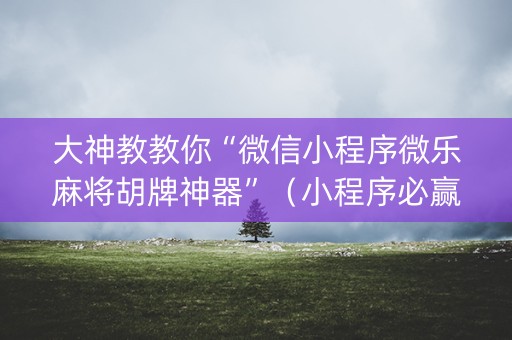 大神教教你“微信小程序微乐麻将胡牌神器”（小程序必赢神器)