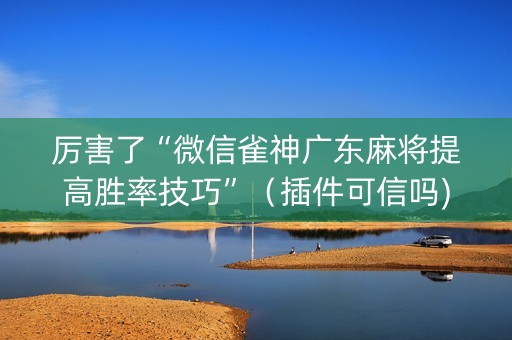 厉害了“微信雀神广东麻将提高胜率技巧”（插件可信吗)