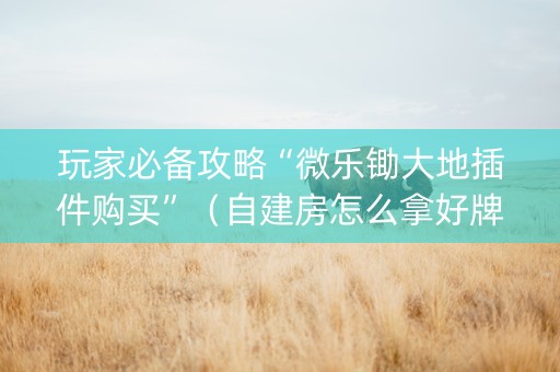 玩家必备攻略“微乐锄大地插件购买”（自建房怎么拿好牌)