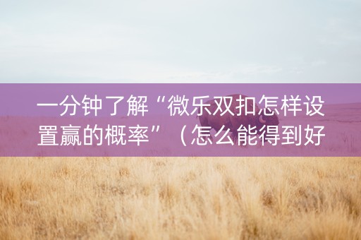 一分钟了解“微乐双扣怎样设置赢的概率”（怎么能得到好牌)