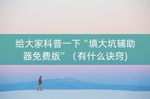 给大家科普一下“填大坑辅助器免费版”（有什么诀窍)