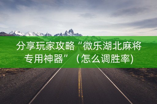 分享玩家攻略“微乐湖北麻将专用神器”（怎么调胜率)