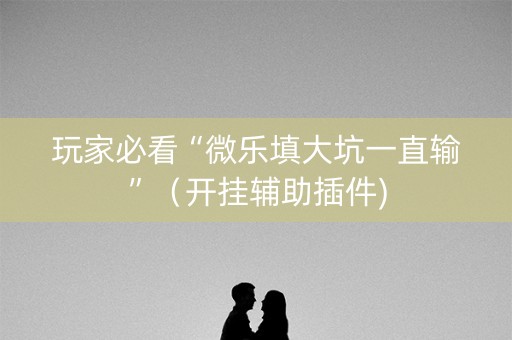 玩家必看“微乐填大坑一直输”（开挂辅助插件)