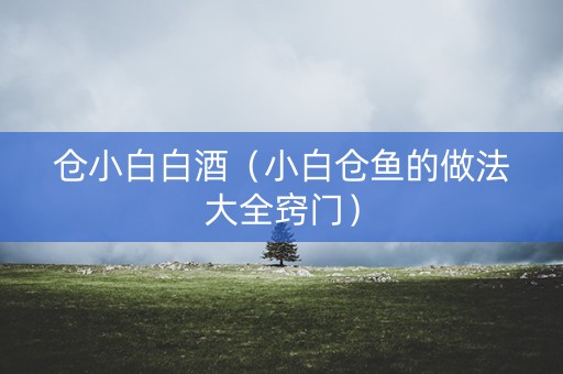 仓小白白酒（小白仓鱼的做法大全窍门）