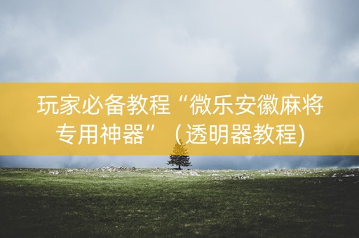 玩家必备教程“微乐安徽麻将专用神器”（透明器教程)