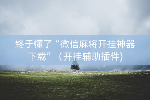终于懂了“微信麻将开挂神器下载”（开挂辅助插件)