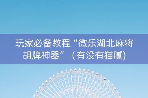 玩家必备教程“微乐湖北麻将胡牌神器”（有没有猫腻)