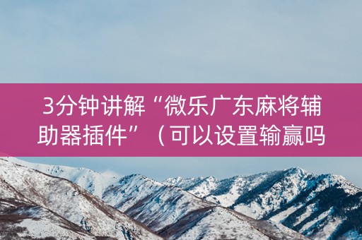 3分钟讲解“微乐广东麻将辅助器插件”（可以设置输赢吗)