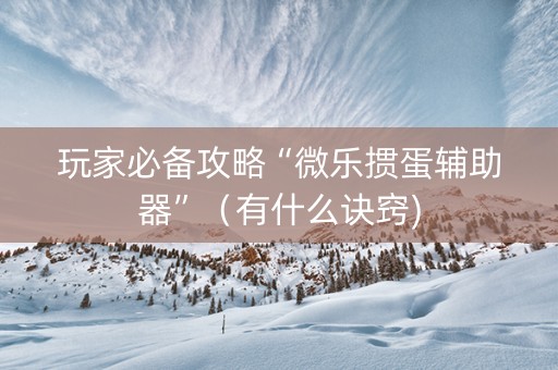 玩家必备攻略“微乐掼蛋辅助器”（有什么诀窍)