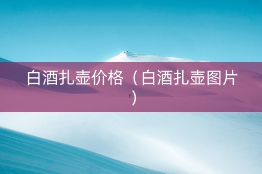 白酒扎壶价格（白酒扎壶图片）