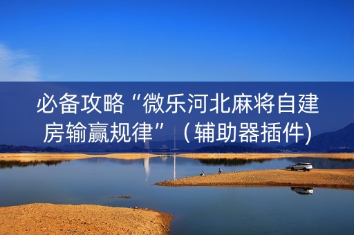 必备攻略“微乐河北麻将自建房输赢规律”（辅助器插件)