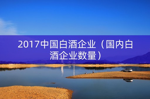 2017中国白酒企业（国内白酒企业数量）