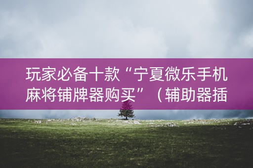 玩家必备十款“宁夏微乐手机麻将铺牌器购买”（辅助器插件)
