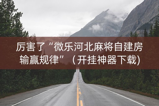 厉害了“微乐河北麻将自建房输赢规律”（开挂神器下载)