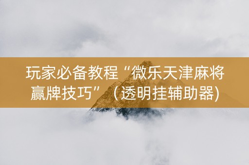 玩家必备教程“微乐天津麻将赢牌技巧”（透明挂辅助器)