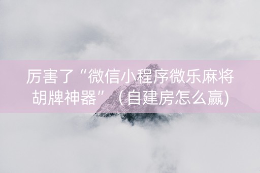 厉害了“微信小程序微乐麻将胡牌神器”（自建房怎么赢)
