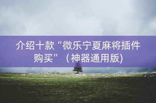 介绍十款“微乐宁夏麻将插件购买”（神器通用版)