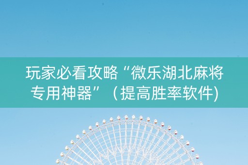 玩家必看攻略“微乐湖北麻将专用神器”（提高胜率软件)