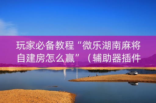 玩家必备教程“微乐湖南麻将自建房怎么赢”（辅助器插件)