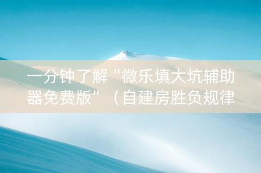 一分钟了解“微乐填大坑辅助器免费版”（自建房胜负规律)