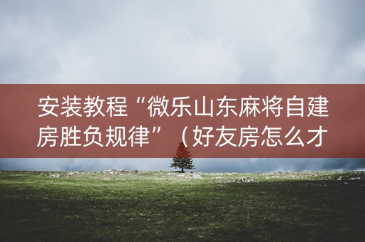 安装教程“微乐山东麻将自建房胜负规律”（好友房怎么才能赢)